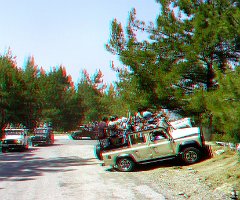 19-Jeep Safari-1401 016